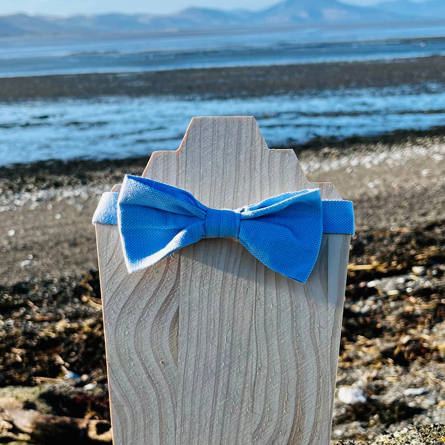 Derrynane - Pre-tied Bow Tie
